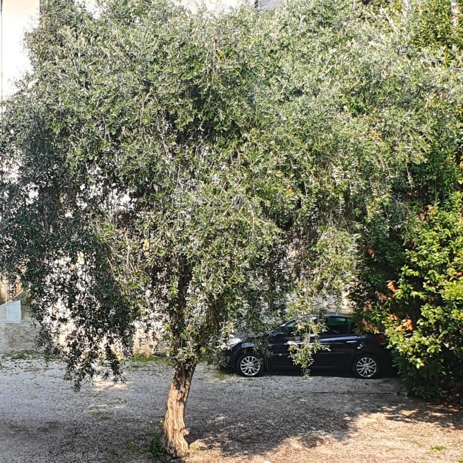 Appartamento Lido 'With Parking Space Included' Toscolano Maderno Exterior photo